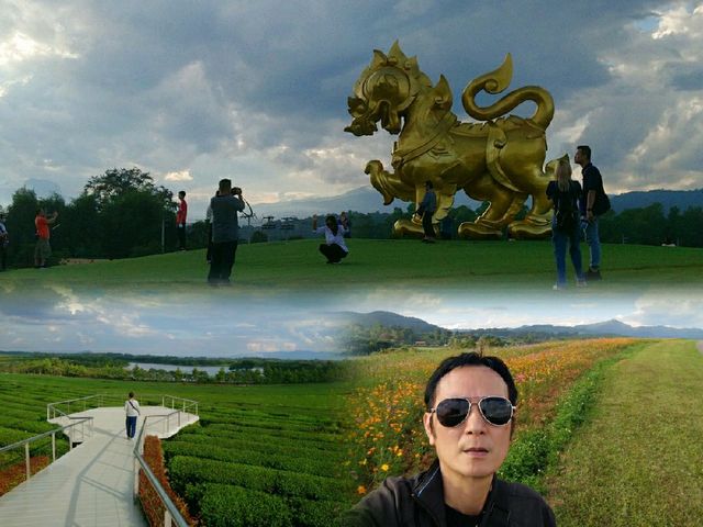 ขึ้นเหนือ..แอ่วสิงห์ปาร์ค เชียงราย