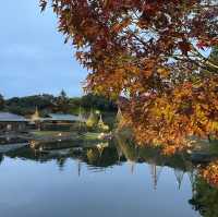名古屋白鳥庭院：夜晚的靜謐與美