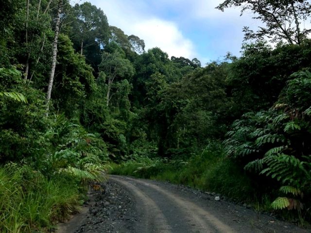 Deramakot Forest Reserve