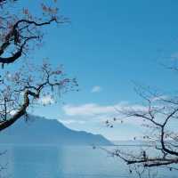 馬林湖：湖光山色，仙境般美麗