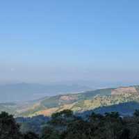 YAYO FARM Doichang เชียงราย