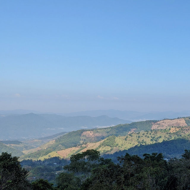 YAYO FARM Doichang เชียงราย