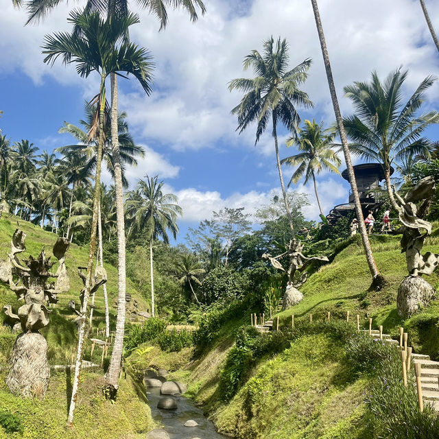 A paradise rice terrace in Bali, Indonesia 