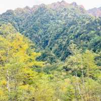 桃花源風景區：美麗樹林、壯觀瀑布，8月好去處
