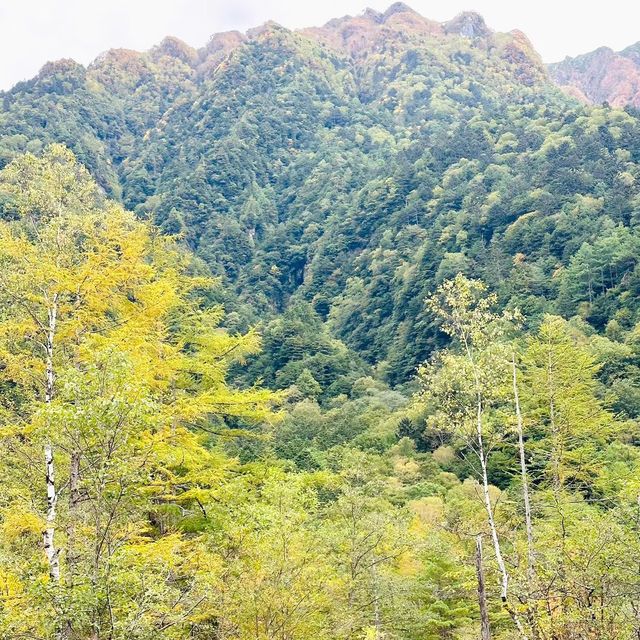 桃花源風景區：美麗樹林、壯觀瀑布，8月好去處