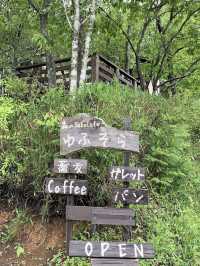 【大分グルメ】湯布院の自然の中にある人気のお蕎麦屋さん🌳