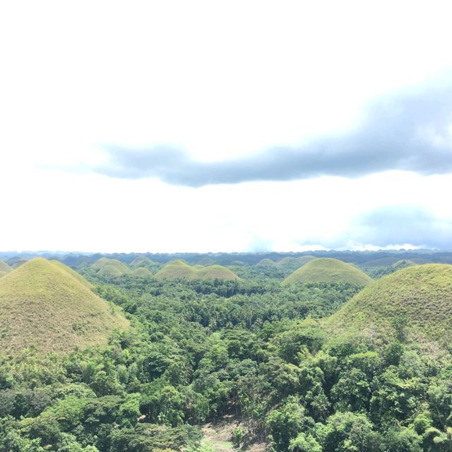 ♡菲律賓~薄荷島 Bohol Island