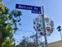 🇺🇸MELROSE
