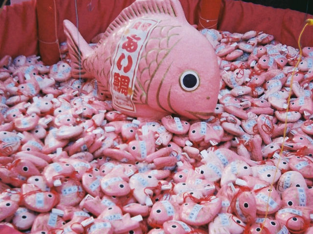 【川越🇯🇵】釣れる恋おみくじ🎣🩷