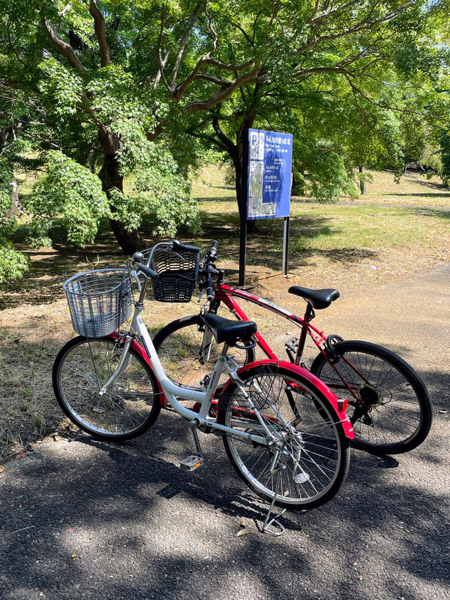 【東京都】昭和記念公園で気軽にサイクリング