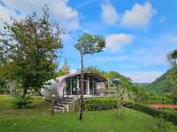 🌳The Banyan Leaf Resort
