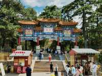 Summer Palace 