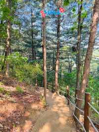 🇰🇷 Gamaksan Viewing Observatory Forest Trail
