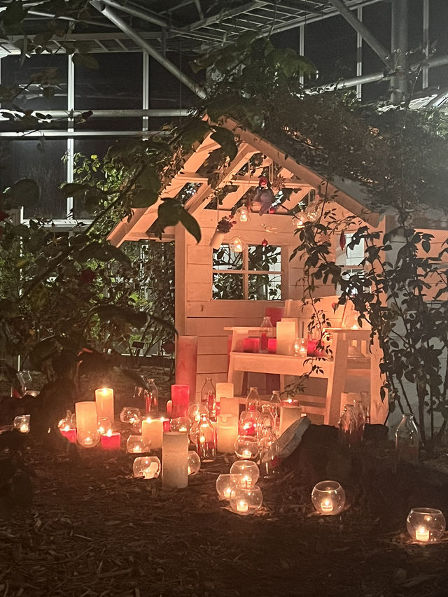 【熊本観光】復興を願うキャンドルの灯りに癒された🕯✨️