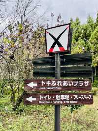 【新潟県】トキ会える「トキの森公園」