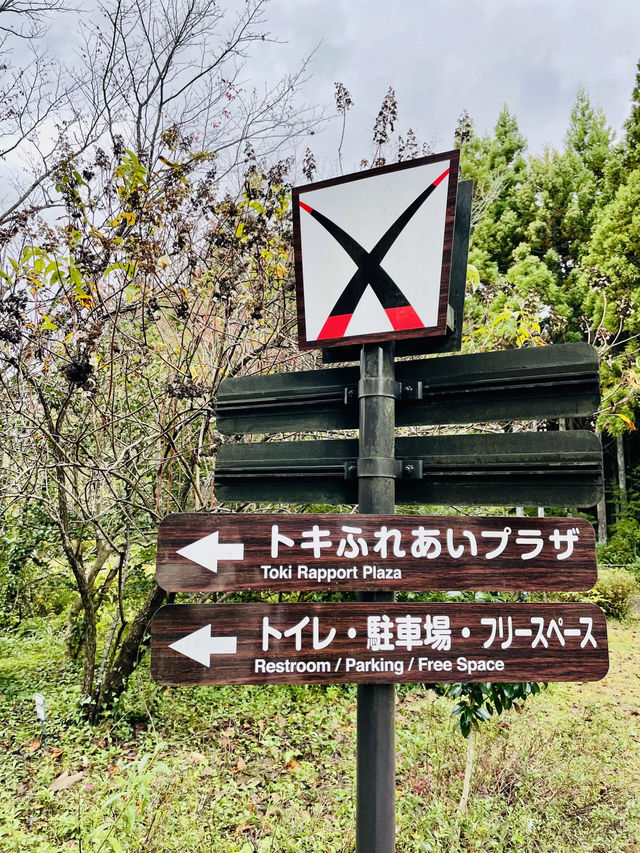 【新潟県】トキ会える「トキの森公園」