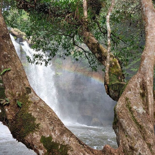 น้ำตกสวยๆ ในเขาใหญ่ 