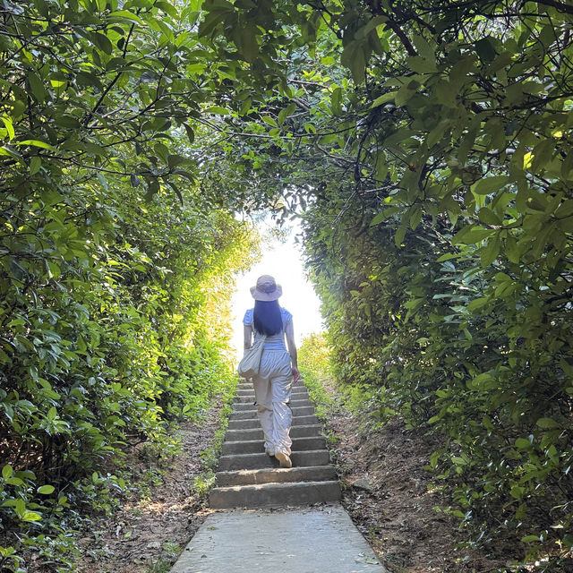塔門輕鬆半日遊 有山有海治癒行 詳細交通資訊