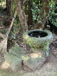 【長崎県】日本古代の女神たちが祀られていた神社