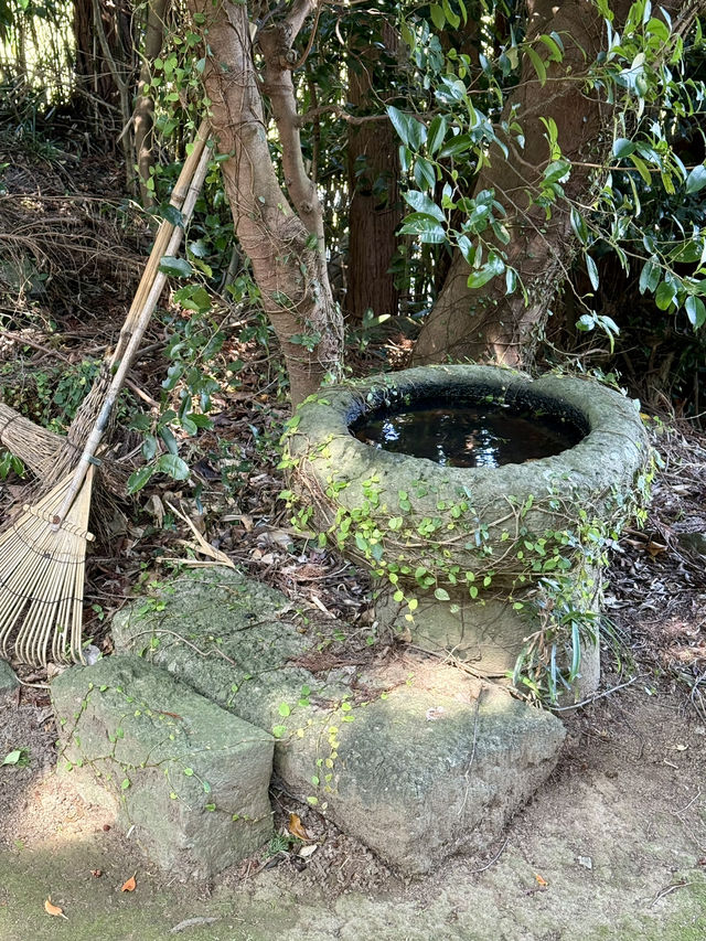 【長崎県】日本古代の女神たちが祀られていた神社