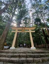 【那智の滝:和歌山県那智勝浦町】圧巻!!高さ133mの日本で最も高い滝!!