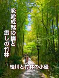 【静岡県】恋愛成就の橋と癒しの竹林