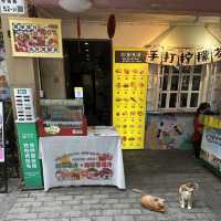 深圳古城一日遊 邂逅甘坑古鎮的古典魅力