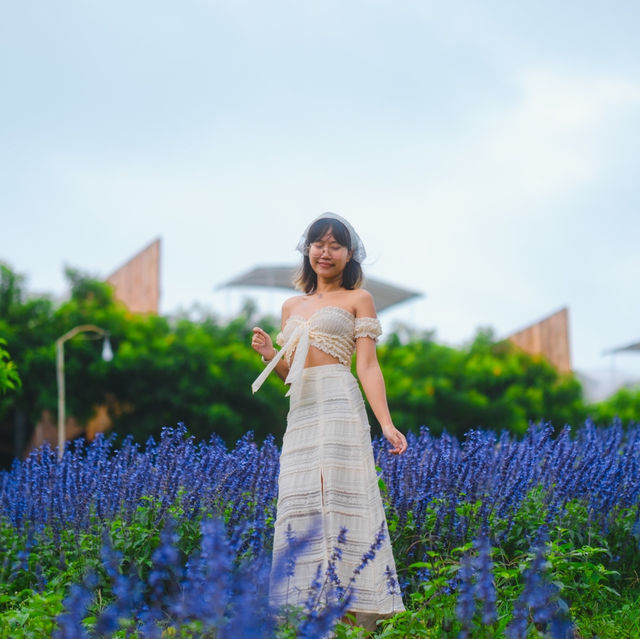 ม่อนหมอกฟ้า โฮมสเตย์ ม่อนแจ่มเชียงใหม่
