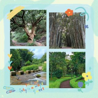 River Kwai Greenway: Lush green nature 🌿🌊