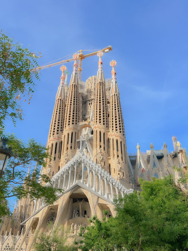 스페인 바르셀로나🇪🇸 가우디의 마지막 작품 사그리다 파밀리아 성당