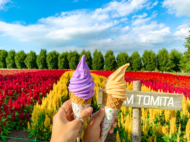 【北海道】絶景✨色とりどりの花が咲き誇るファーム富田