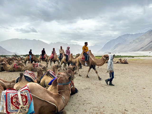 Hunder Sand Duneไปขี่ิูฐที่อินเดีย🐫🇮🇳