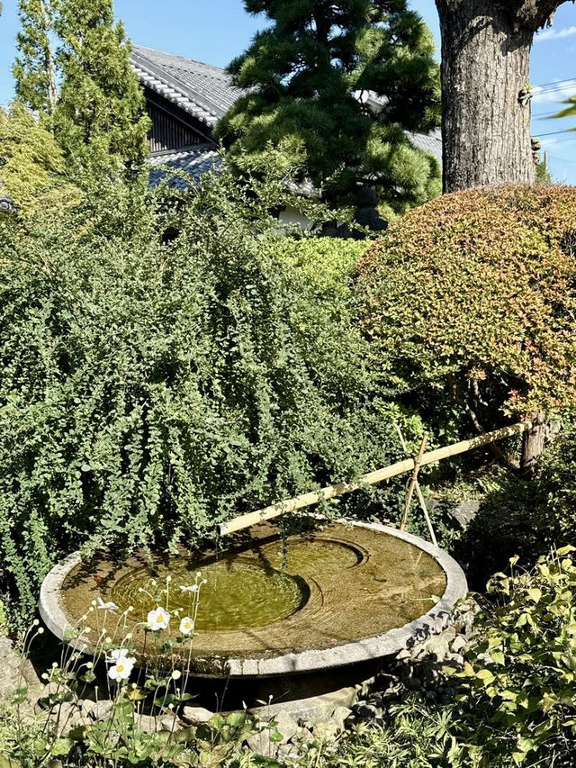 【東京都】多宝塔と緑の美しいコントラスト