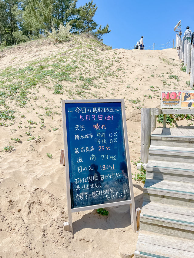 【鳥取】すべて徒歩圏内！鳥取砂丘といっしょに巡れるスポット3選🏜️💡 