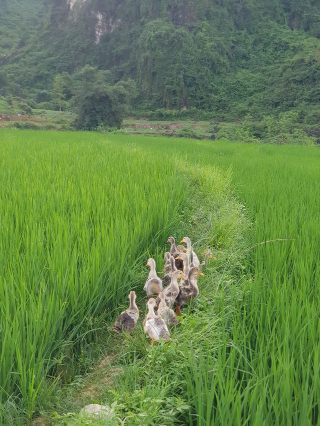 Cao Bang - 3D2N for a great natural touch