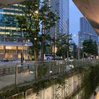 東京で本格的な沖縄そばが食べられます