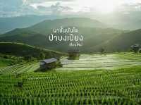 นาขั้นบันไดป่าบงเปียง เชียงใหม่🌾🌿