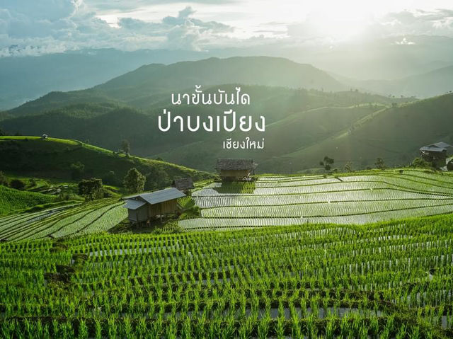 นาขั้นบันไดป่าบงเปียง เชียงใหม่🌾🌿