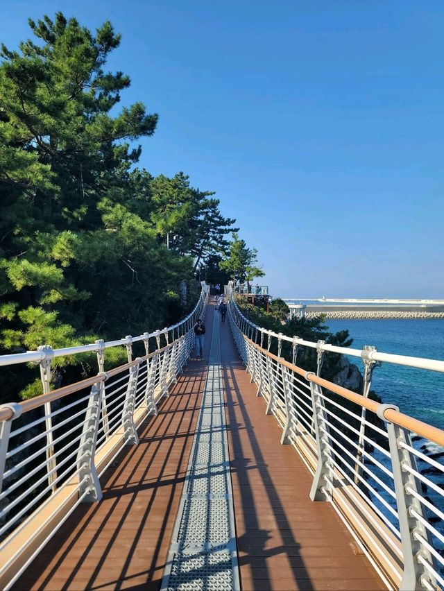 추암촛대바위를 즐긴다면 여기도 꼭🩵