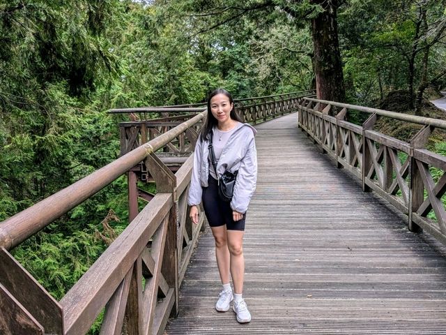 Alishan's Dawn to Dusk Magic
