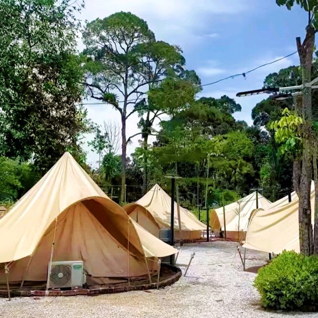 Gopeng Glamping Park, a weekend getaway hotspot! 🍃🦋🌳🐞🌿