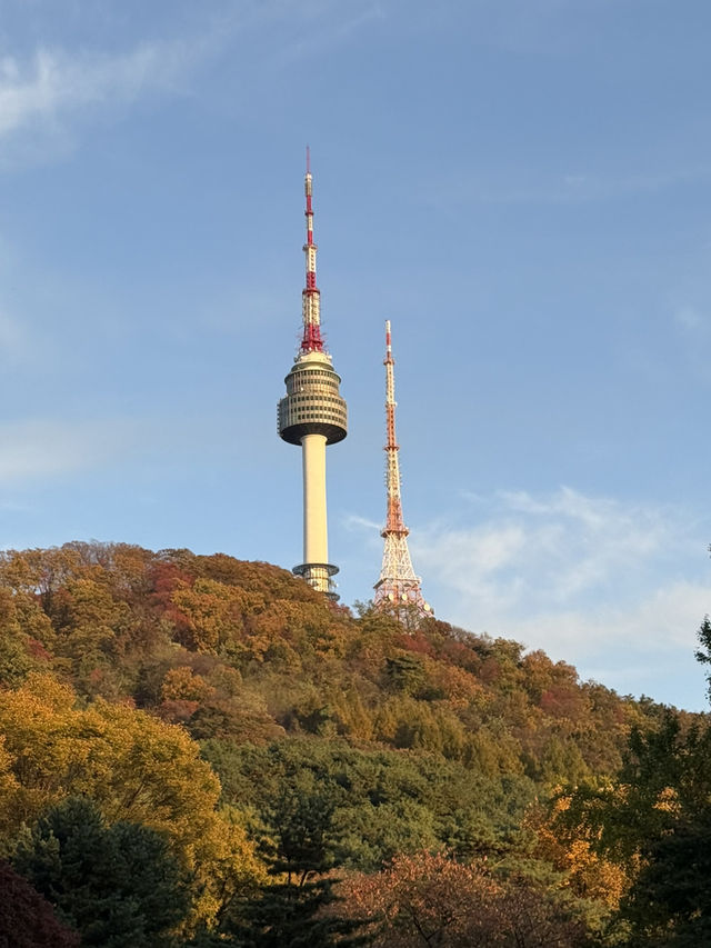 🇰🇷 역사와 평화를 기리는 남산 백범광장 🕊️