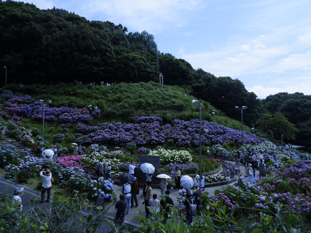 名古屋愛知縣景點：適合自駕遊 