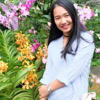 อุทยานหลวงราชพฤกษ์ จ.เชียงใหม่