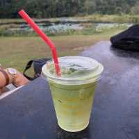 Jungle space village - คาเฟ่เขียวขจี จ.นครพนม