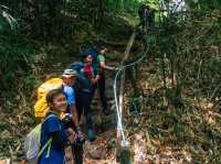 วิวเขาหลวงสุโขทัย จุดกางเต้นท์ที่คนนิยมมา🏔️🌳