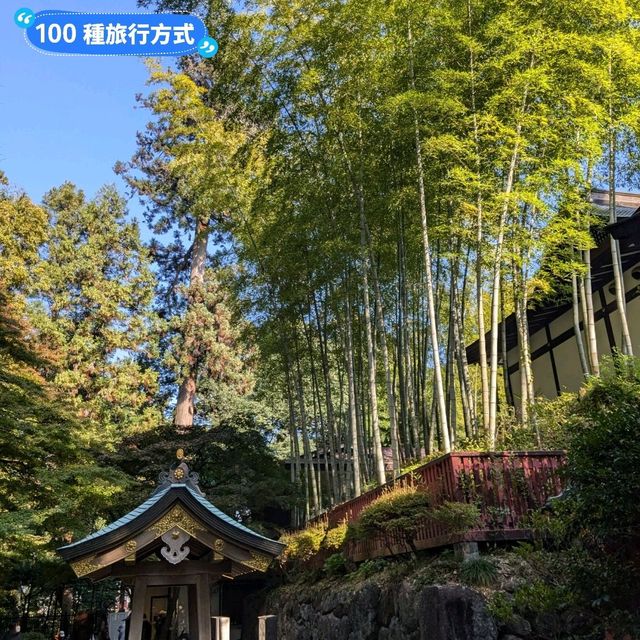 漫步參天杉木的森林參道：仙台名勝瑞鳳殿