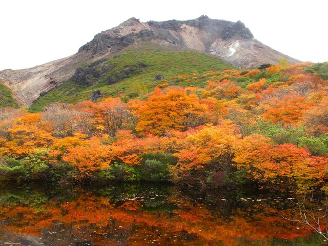【栃木県】圧巻の紅葉絨毯と活火山！那須の茶臼岳