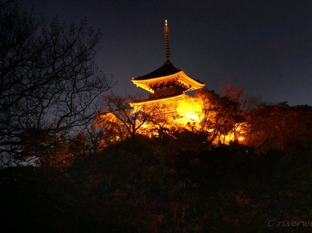【神奈川県】近代の大実業家・原三渓が築いた日本庭園！