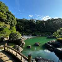 浮間公園：小橋流水🌸🏞️